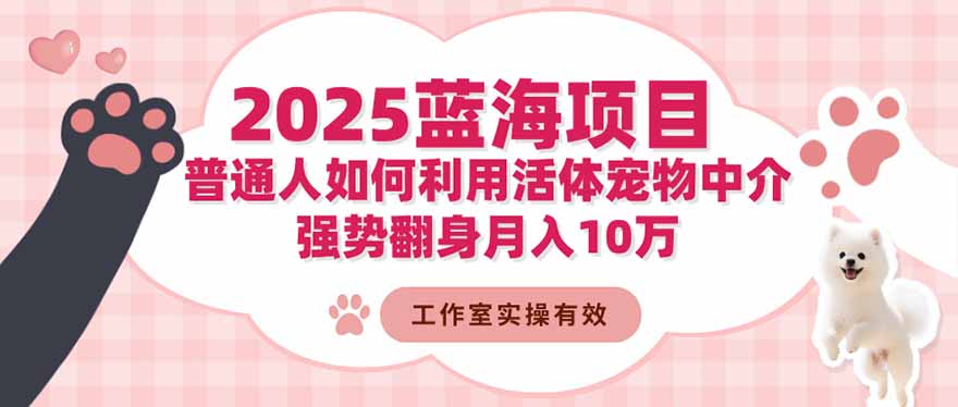2025蓝海项目:普通人如何利用活体宠物中介,强势翻身月入10万-404软件工作室