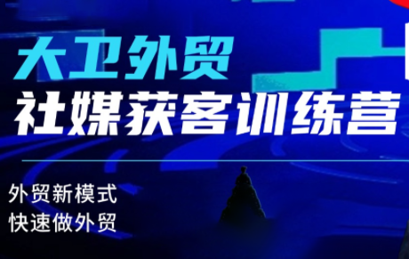 大卫老师·外贸社媒获客独家训练营(更新)-404软件工作室