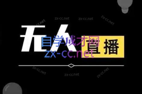 宝子哥·无人直播-非实时防风技术(更新11月)-404软件工作室