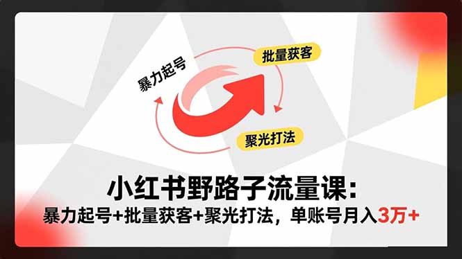 小红书野路子流量课：暴力起号+批量获客+聚光打法，单账号月入3万+-404软件工作室