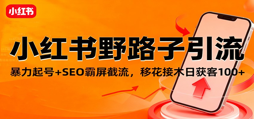小红书野路子引流，暴力起号+SEO霸屏截流，移花接木日获客100+-404软件工作室