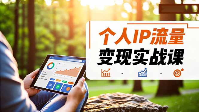 个人IP流量变现实战课，涵盖多平台引流、打造个人IP并实现稳定流量变现-404软件工作室